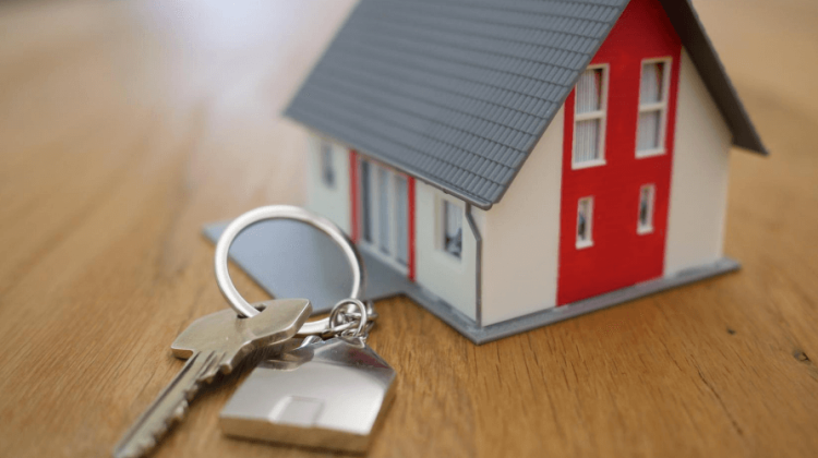What does a real estate virtual assistant do
